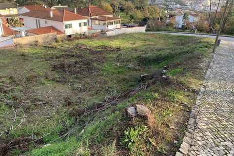 Terra a Ansiao, Leiria, Ansiao - € 38.300 | Ref: 771043 - foto 13