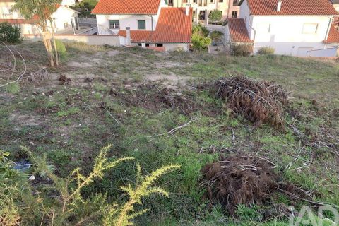 Terra a Ansiao, Leiria, Ansiao - € 38.300 | Ref: 771043 - foto 26