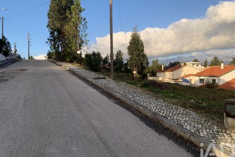 Terra a Ansiao, Leiria, Ansiao - € 38.300 | Ref: 771043 - foto 28