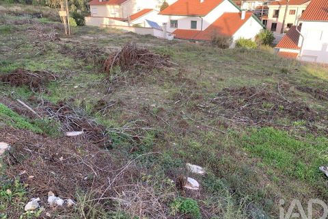 Terra a Ansiao, Leiria, Ansiao - € 38.300 | Ref: 771043 - foto 24
