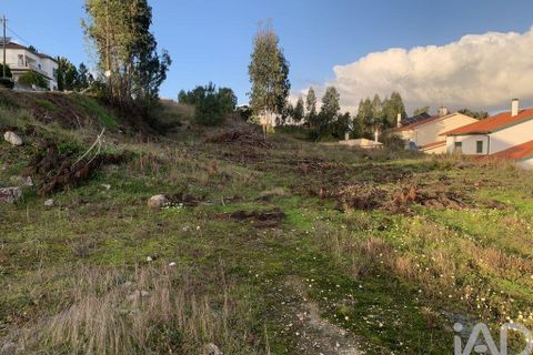Terra a Ansiao, Leiria, Ansiao - € 38.300 | Ref: 771043 - foto 14
