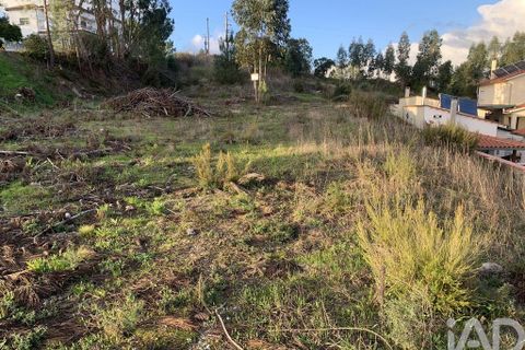 Terra a Ansiao, Leiria, Ansiao - € 38.300 | Ref: 771043 - foto 21