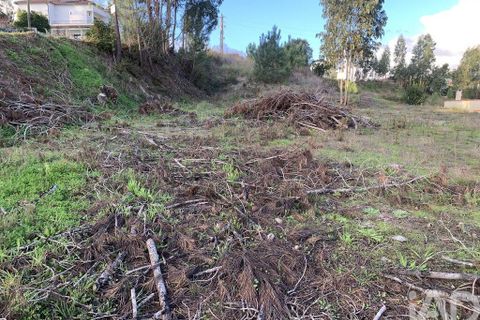 Terra a Ansiao, Leiria, Ansiao - € 38.300 | Ref: 771043 - foto 19