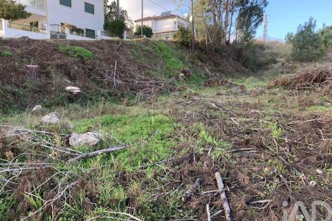 Terra a Ansiao, Leiria, Ansiao - € 38.300 | Ref: 771043 - foto 20