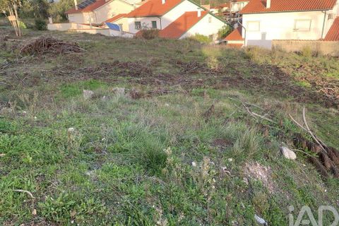 Terra a Ansiao, Leiria, Ansiao - € 38.300 | Ref: 771043 - foto 17
