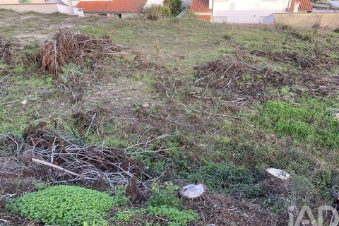 Terra a Ansiao, Leiria, Ansiao - € 38.300 | Ref: 771043 - foto 9