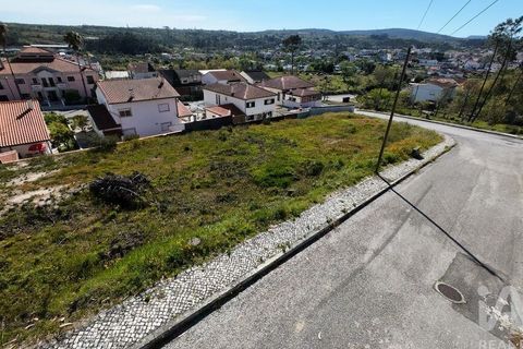 Terra a Ansiao, Leiria, Ansiao - € 38.300 | Ref: 771043 - foto 2