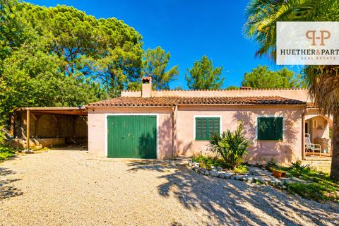 Landejendom i Pina, Mallorca, Pina - € 399.000 | Ref: 25-213 - foto 6