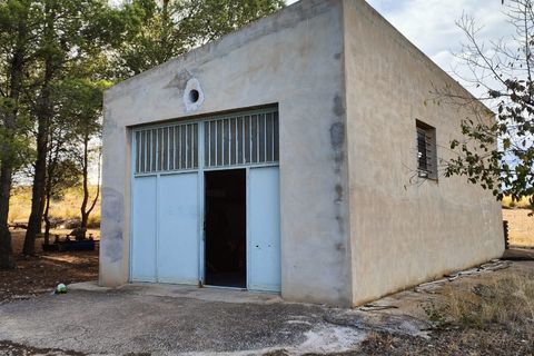 Landejendom i Yecla, Murcia, Yecla - € 210.000 | Ref: IG-210 - foto 30