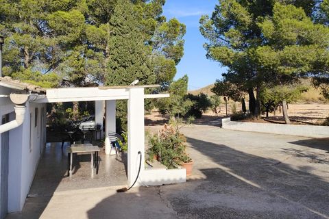 Landejendom i Yecla, Murcia, Yecla - € 210.000 | Ref: IG-210 - foto 38