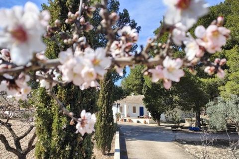 Landejendom i Yecla, Murcia, Yecla - € 210.000 | Ref: IG-210 - foto 42