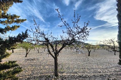 Landejendom i Yecla, Murcia, Yecla - € 210.000 | Ref: IG-210 - foto 43