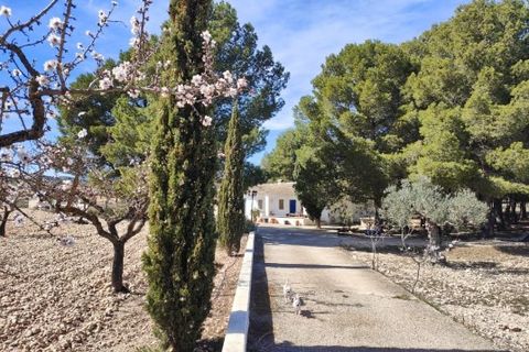 Landejendom i Yecla, Murcia, Yecla - € 210.000 | Ref: IG-210 - foto 44