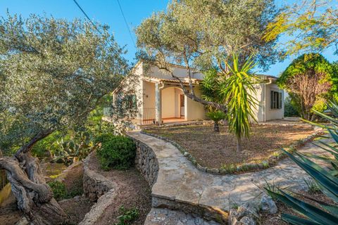 Villa a Valldemosa, Mallorca, Valldemosa - € 830.000 | Ref: FALC-Nep-62576 - foto 24