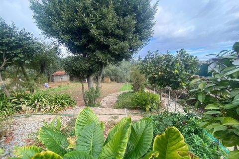 Villa i Dominguizo, Castelo Branco, Dominguizo - € 250.000 | Ref: C0434-00868 - foto 9