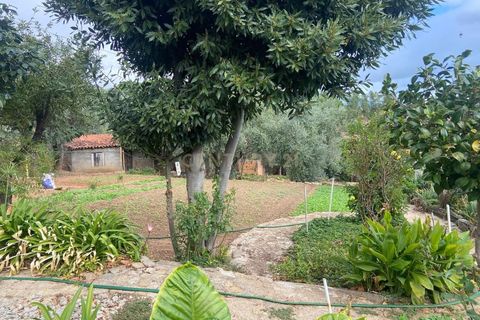 Villa i Dominguizo, Castelo Branco, Dominguizo - € 250.000 | Ref: C0434-00868 - foto 12