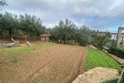 Villa i Dominguizo, Castelo Branco, Dominguizo - € 250.000 | Ref: C0434-00868 - foto 13