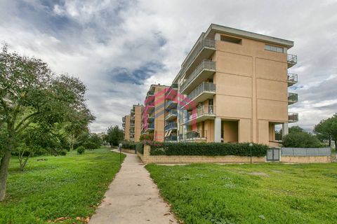Lejlighed i Pomezia, Rome, Pomezia - € 109.000 | Ref: 1001-723 - foto 31