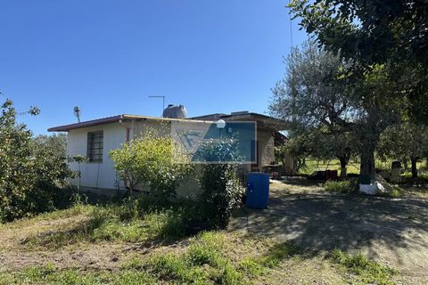 Helårsgrund i Noto, Siracusa, Noto - € 140.000 | Ref: NT TCAM 33 - foto 1