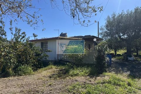 Helårsgrund i Noto, Siracusa, Noto - € 140.000 | Ref: NT TCAM 33 - foto 2