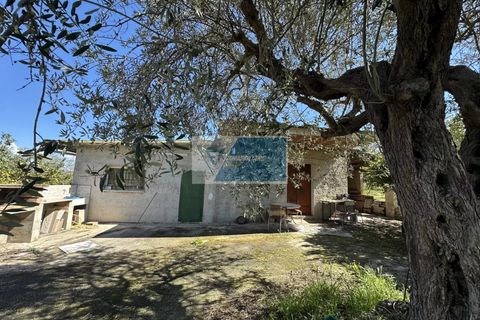 Helårsgrund i Noto, Siracusa, Noto - € 140.000 | Ref: NT TCAM 33 - foto 3