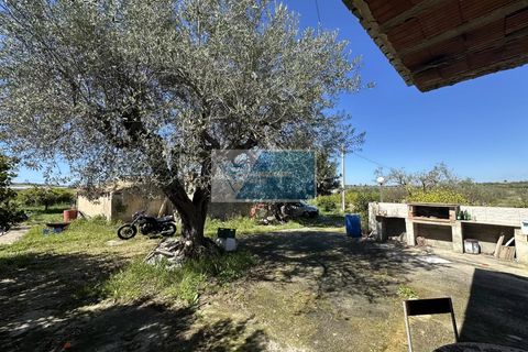 Helårsgrund i Noto, Siracusa, Noto - € 140.000 | Ref: NT TCAM 33 - foto 4