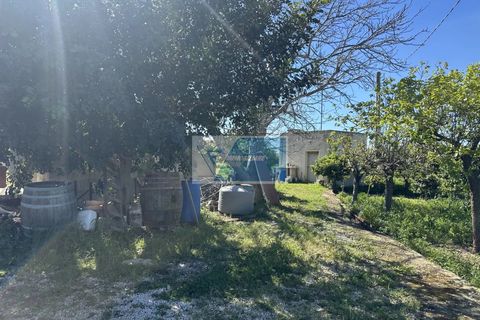 Helårsgrund i Noto, Siracusa, Noto - € 140.000 | Ref: NT TCAM 33 - foto 5