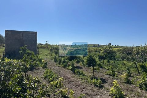 Helårsgrund i Noto, Siracusa, Noto - € 140.000 | Ref: NT TCAM 33 - foto 8