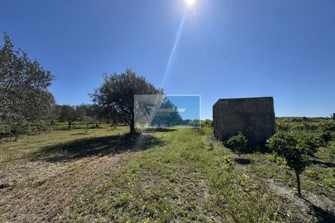 Helårsgrund i Noto, Siracusa, Noto - € 140.000 | Ref: NT TCAM 33 - foto 9