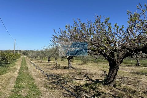 Helårsgrund i Noto, Siracusa, Noto - € 140.000 | Ref: NT TCAM 33 - foto 11