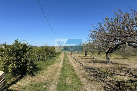 Helårsgrund i Noto, Siracusa, Noto - € 140.000 | Ref: NT TCAM 33 - foto 12