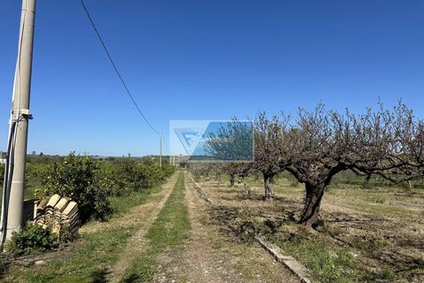 Helårsgrund i Noto, Siracusa, Noto - € 140.000 | Ref: NT TCAM 33 - foto 13