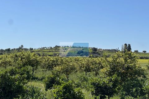 Helårsgrund i Noto, Siracusa, Noto - € 140.000 | Ref: NT TCAM 33 - foto 14