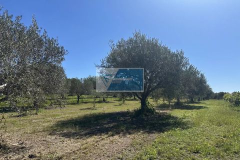 Helårsgrund i Noto, Siracusa, Noto - € 140.000 | Ref: NT TCAM 33 - foto 15