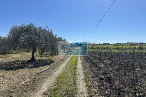 Helårsgrund i Noto, Siracusa, Noto - € 140.000 | Ref: NT TCAM 33 - foto 16