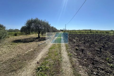 Helårsgrund i Noto, Siracusa, Noto - € 140.000 | Ref: NT TCAM 33 - foto 17
