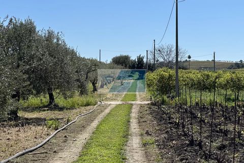 Helårsgrund i Noto, Siracusa, Noto - € 140.000 | Ref: NT TCAM 33 - foto 18