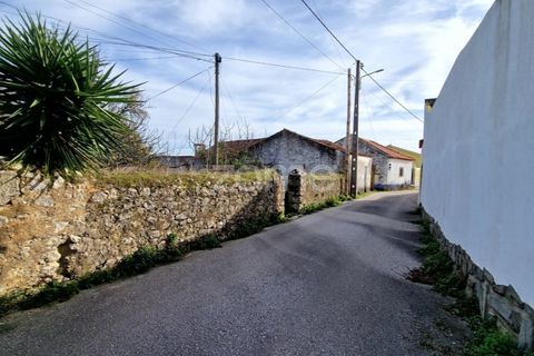 Helårsgrund i Assentiz, Santarem, Assentiz - € 32.000 | Ref: ZMPT583809 - foto 6
