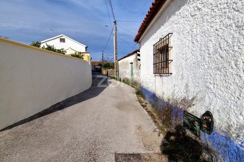 Helårsgrund i Assentiz, Santarem, Assentiz - € 32.000 | Ref: ZMPT583809 - foto 8