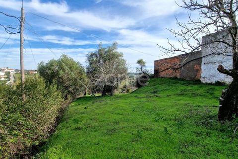 Helårsgrund i Assentiz, Santarem, Assentiz - € 32.000 | Ref: ZMPT583809 - foto 9