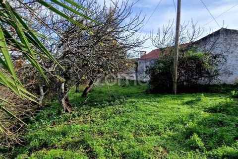 Helårsgrund i Assentiz, Santarem, Assentiz - € 32.000 | Ref: ZMPT583809 - foto 10