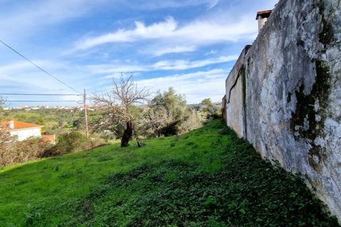 Helårsgrund i Assentiz, Santarem, Assentiz - € 32.000 | Ref: ZMPT583809 - foto 11