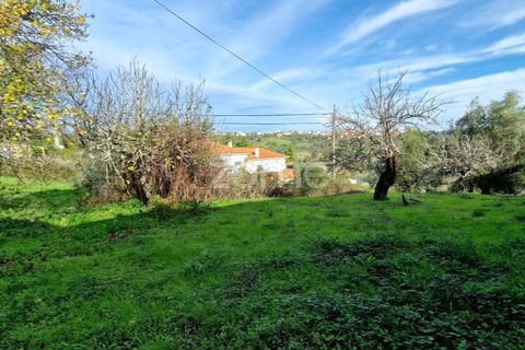 Helårsgrund i Assentiz, Santarem, Assentiz - € 32.000 | Ref: ZMPT583809 - foto 12