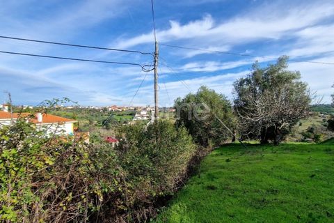 Helårsgrund i Assentiz, Santarem, Assentiz - € 32.000 | Ref: ZMPT583809 - foto 13