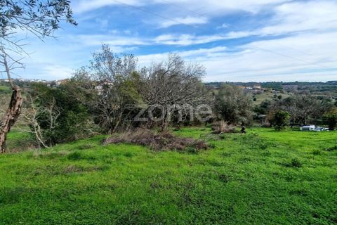 Helårsgrund i Assentiz, Santarem, Assentiz - € 32.000 | Ref: ZMPT583809 - foto 14