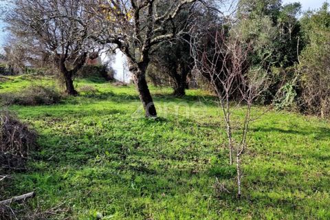 Helårsgrund i Assentiz, Santarem, Assentiz - € 32.000 | Ref: ZMPT583809 - foto 16