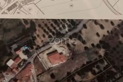 Helårsgrund i Assentiz, Santarem, Assentiz - € 32.000 | Ref: ZMPT583809 - foto 17