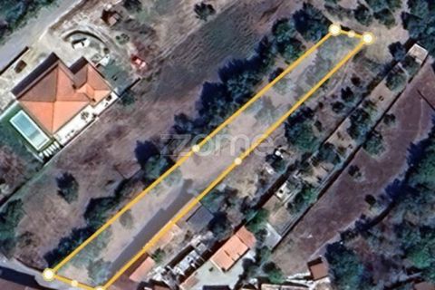 Helårsgrund i Assentiz, Santarem, Assentiz - € 32.000 | Ref: ZMPT583809 - foto 21