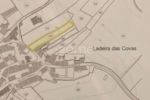 Helårsgrund i Assentiz, Santarem, Assentiz - € 32.000 | Ref: ZMPT583809 - foto 22