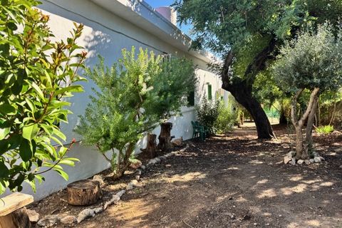 Villa a Guadassuar, Valencia, Guadassuar - € 400.000 | Ref: es5554908 - foto 17